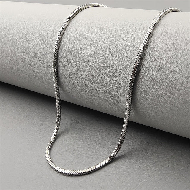Minimalist Square Snake Bone Necklace in Titanium Steel for Men and Women, Hypoallergenic Stainless Steel Pendant Chain with Vacuum Plated Finish